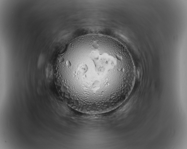 X0000088131251200705211108