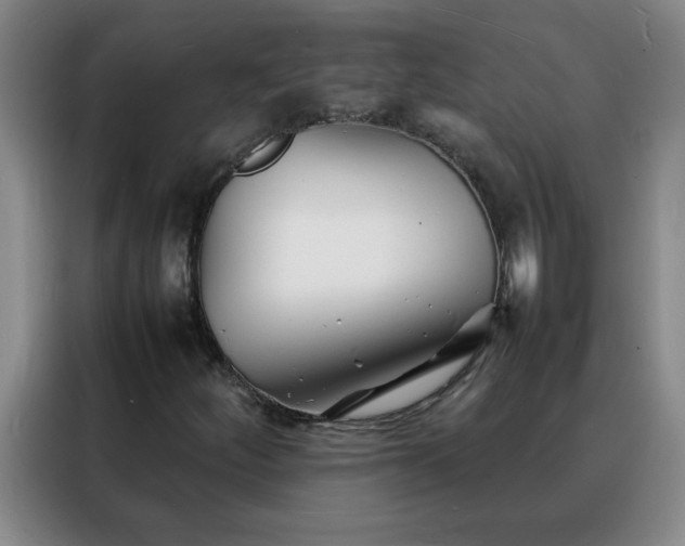 X0000088131252200705211108