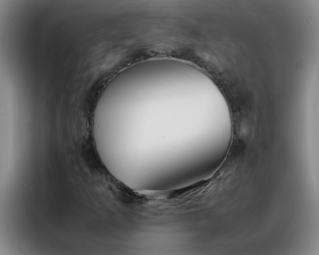 X0000088131253200705211108