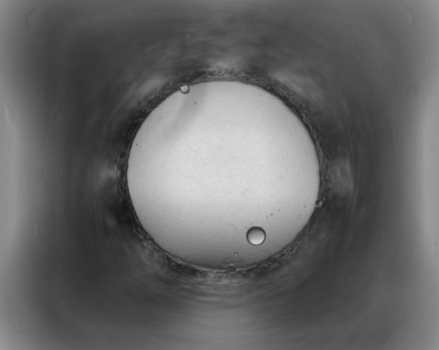 X0000088131254200705211108