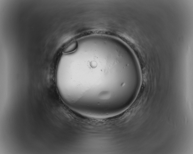 X0000088131255200705211108