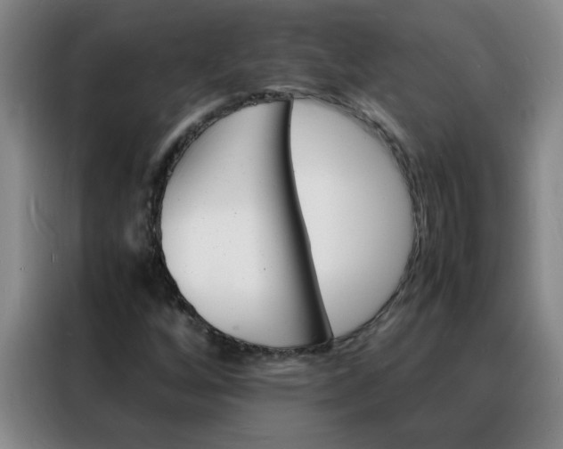 X0000088131256200705211108