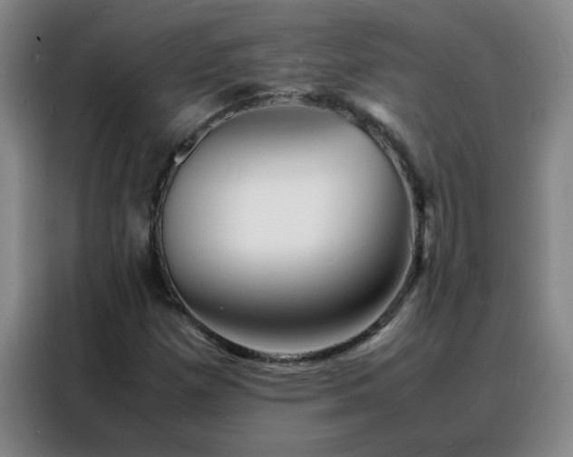 X0000088131257200705211108