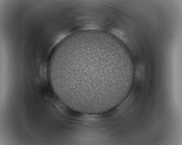 X0000088131258200705211108