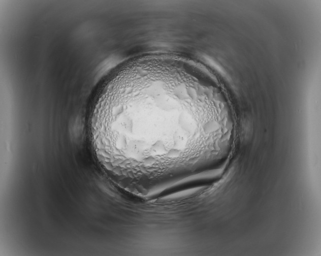 X0000088131259200705211108