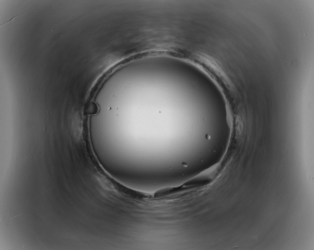 X0000088131260200705211108