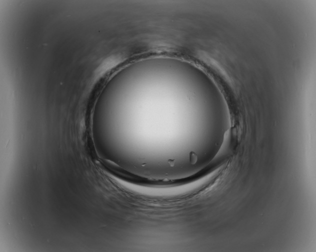 X0000088131261200705211108