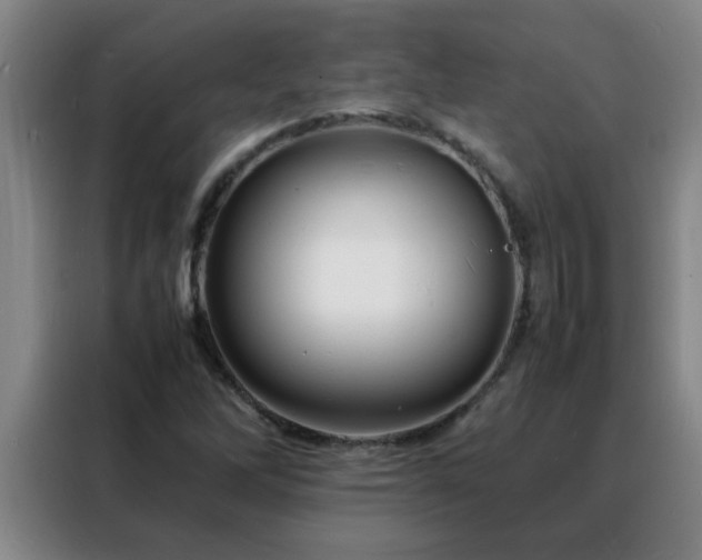 X0000088131262200705211108