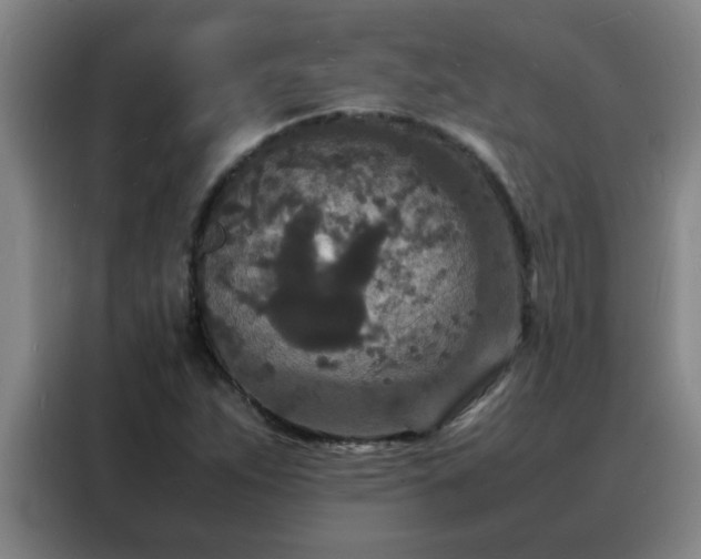 X0000088131263200705211108