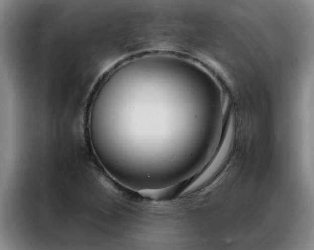 X0000088131264200705211108