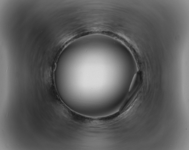 X0000088131265200705211108