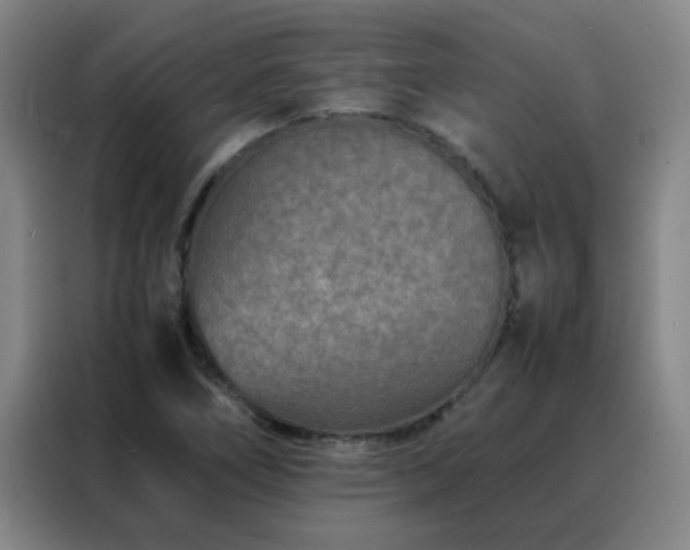 X0000088131266200705211108