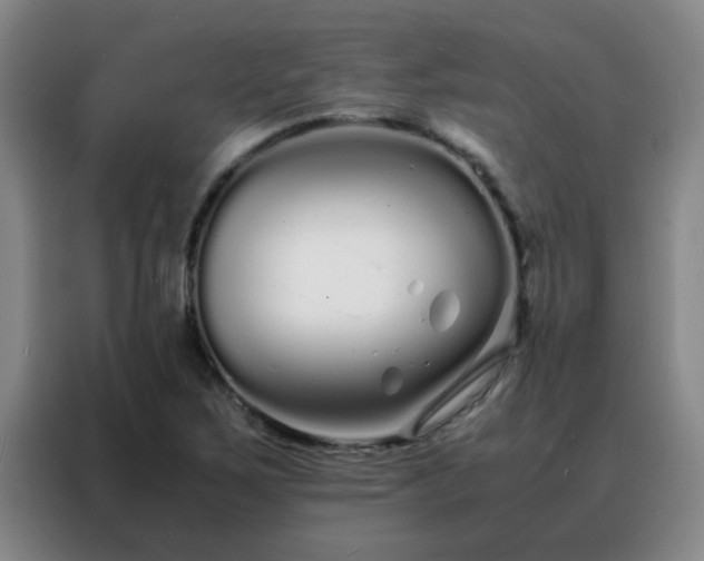 X0000088131267200705211108