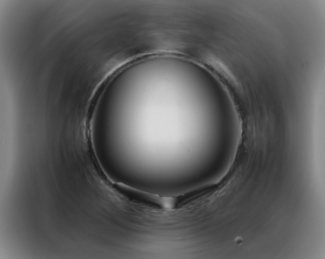 X0000088131268200705211108