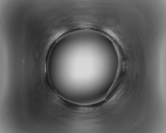 X0000088131269200705211108