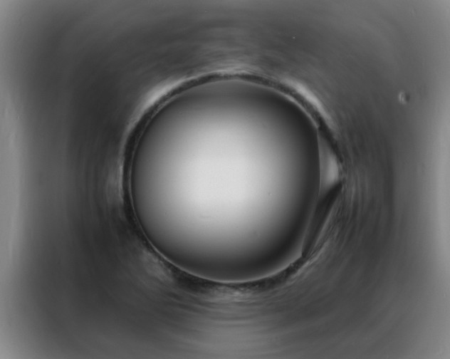 X0000088131270200705211108