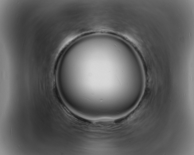 X0000088131271200705211108