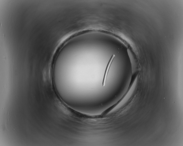 X0000088131272200705211108