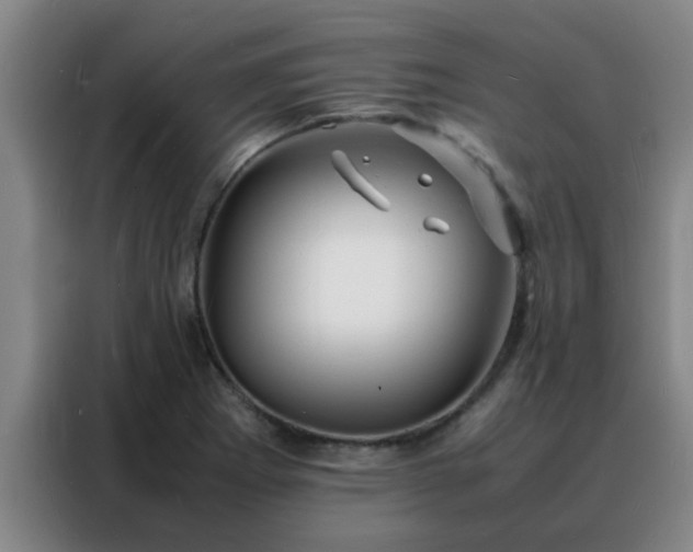 X0000088131273200705211108