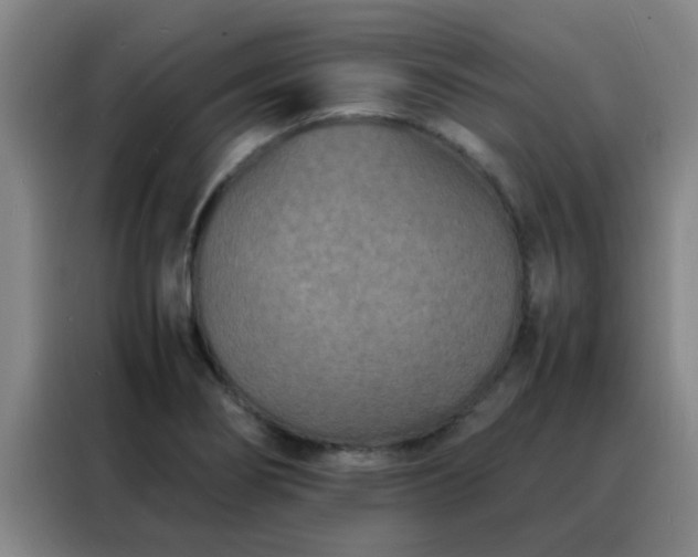 X0000088131274200705211108