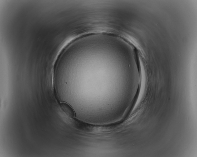 X0000088131275200705211108