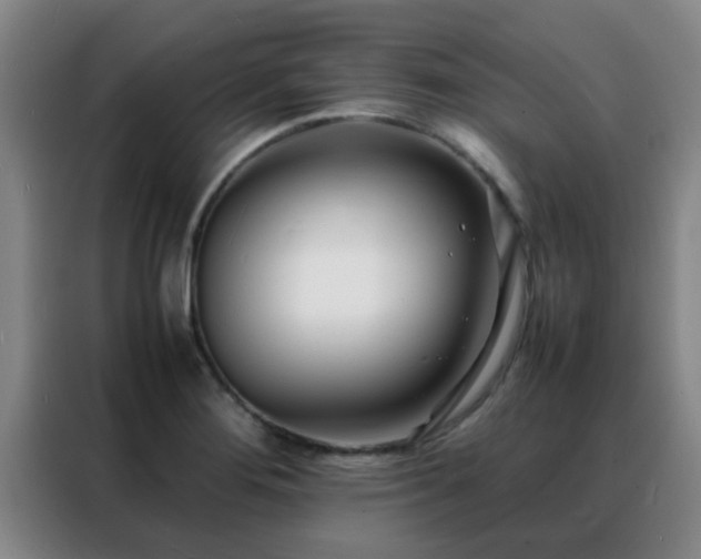 X0000088131276200705211108