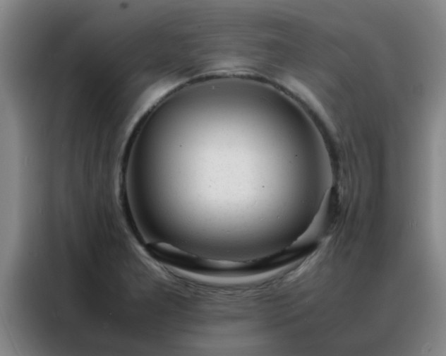 X0000088131277200705211108