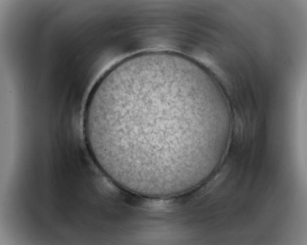 X0000088131278200705211108