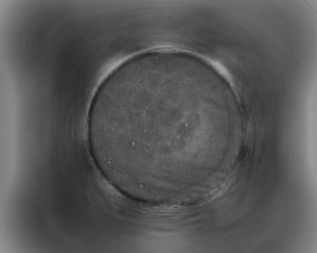 X0000088131279200705211108