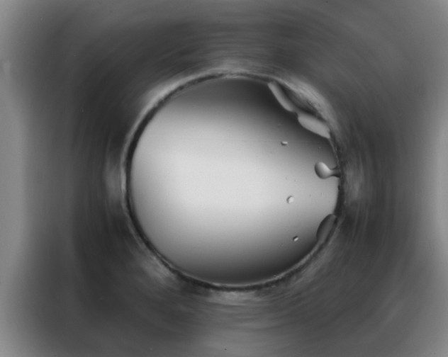 X0000088131280200705211108