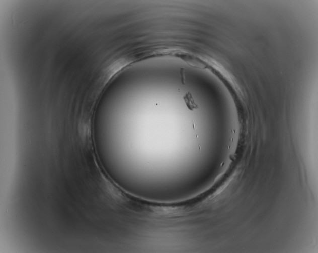 X0000088131281200705211108