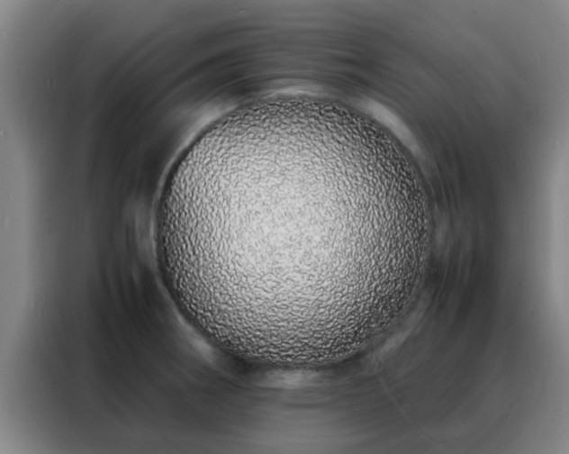 X0000088131282200705211108