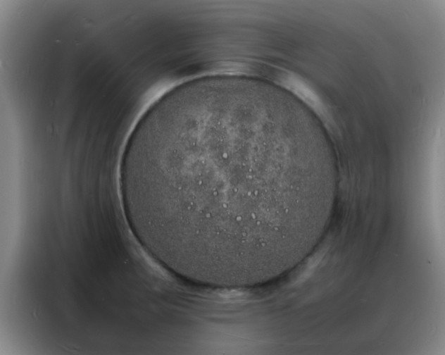 X0000088131283200705211108