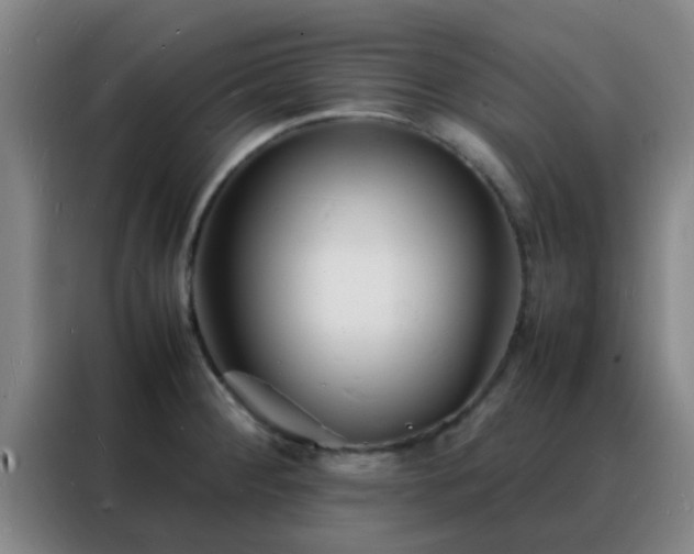 X0000088131284200705211108