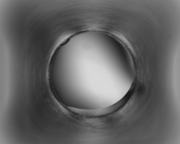 X0000088131285200705211108