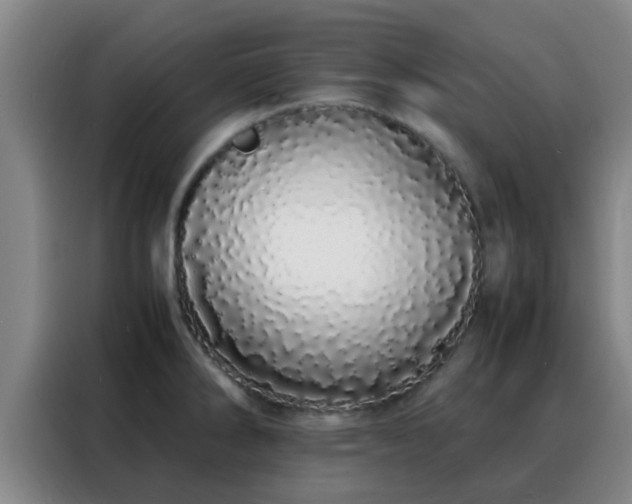 X0000088131286200705211108