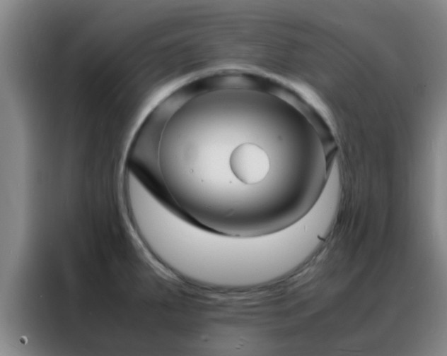 X0000088131287200705211108