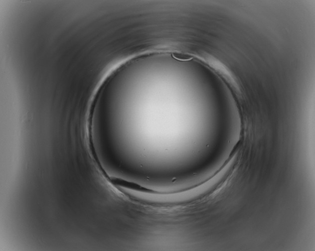 X0000088131288200705211108