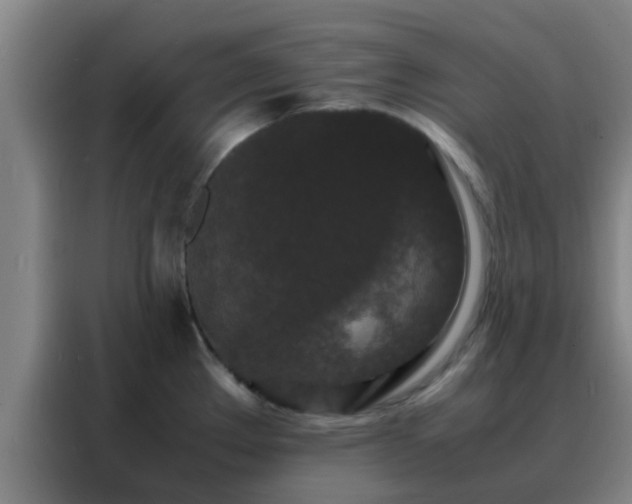 X0000088131289200705211108