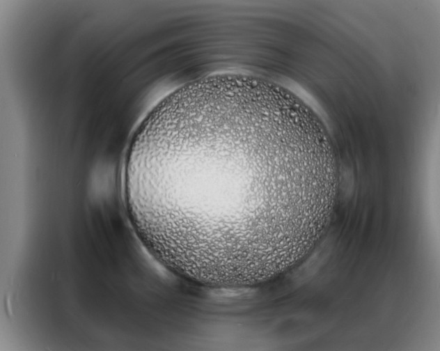 X0000088131290200705211108