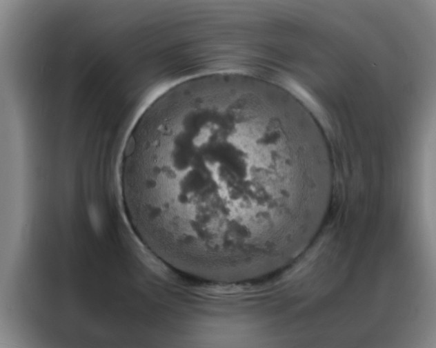 X0000088131291200705211108