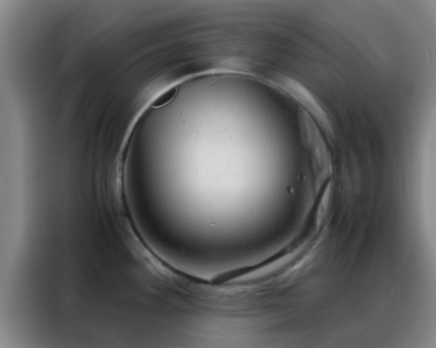 X0000088131292200705211108