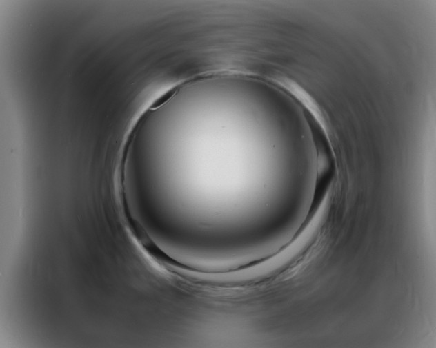 X0000088131293200705211108