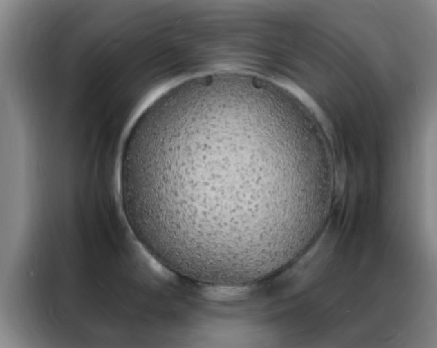 X0000088131294200705211108