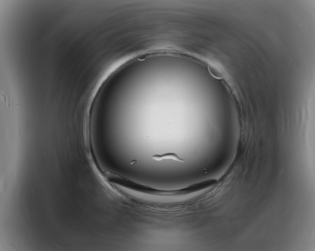 X0000088131295200705211108