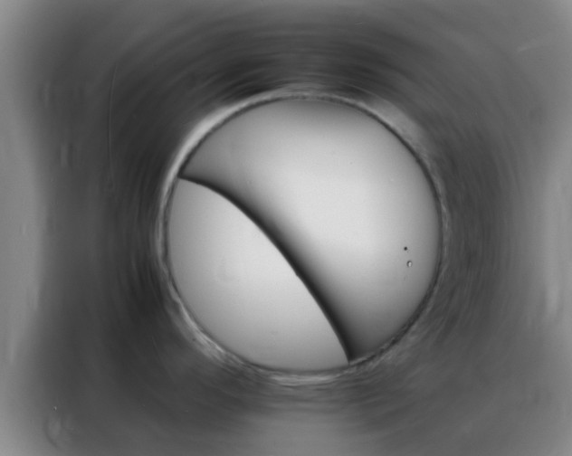 X0000088131296200705211108