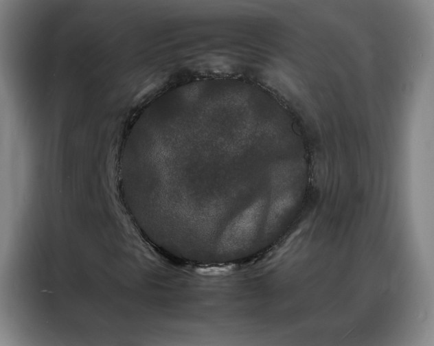 X0000088131297200705211107