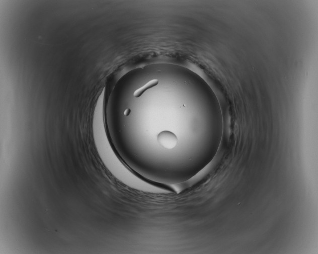 X0000088131298200705211107