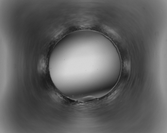 X0000088131300200705211107