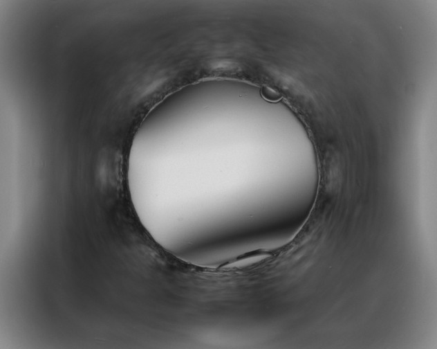 X0000088131301200705211107
